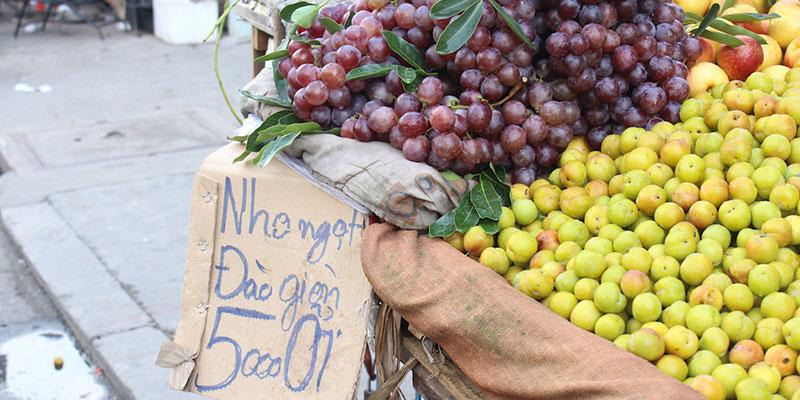 Hoàng Anh Gia Lai mang đến cho cộng đồng Tripi những loại trái cây sạch và an toàn