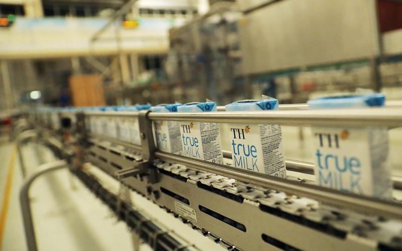 Bạn đã biết các loại sữa chua TH True Milk hiện có chưa? Cùng khám phá sự đa dạng và tinh túy của các sản phẩm sữa chua TH True Milk ngay hôm nay.