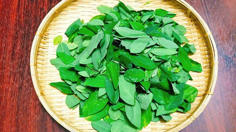 Hướng dẫn chi tiết cách rơ lưỡi cho trẻ bằng rau ngót, theo sự tư vấn của các bác sĩ chuyên khoa.