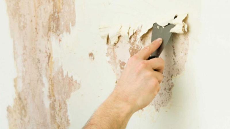 Mẹo làm sạch vết ẩm mốc trên tường nhanh chóng và dễ dàng mà ai cũng có thể thực hiện.