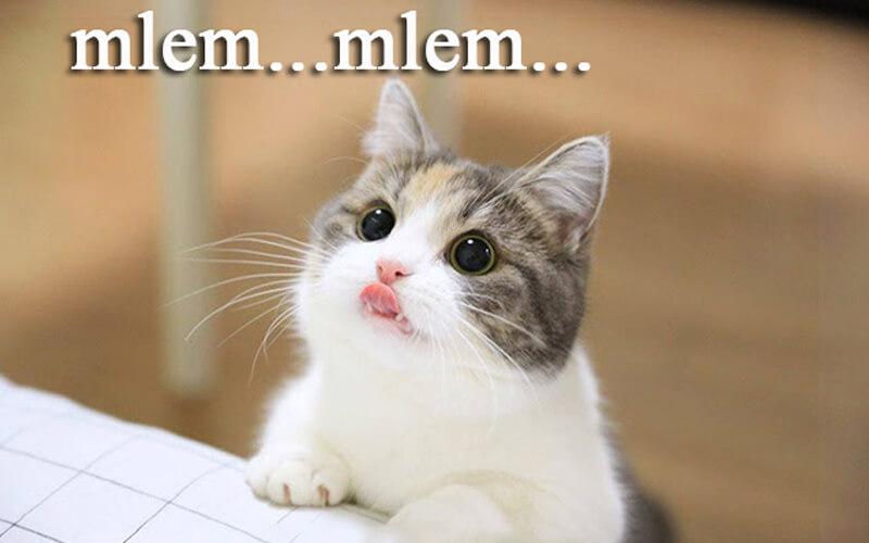 Mlem mlem là một cụm từ cực kỳ phổ biến mà bất kỳ ai tham gia mạng xã hội, đặc biệt là trên Facebook, đều không thể không biết. Vậy mlem mlem là gì mà lại được giới trẻ yêu thích đến vậy?