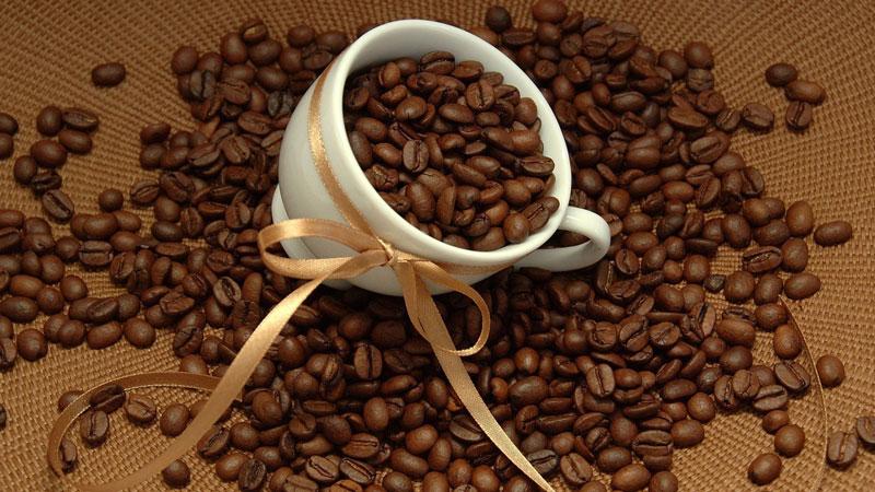 6 giống hạt cà phê phổ biến nhất hiện nay, loại nào mang hương vị tuyệt vời nhất?