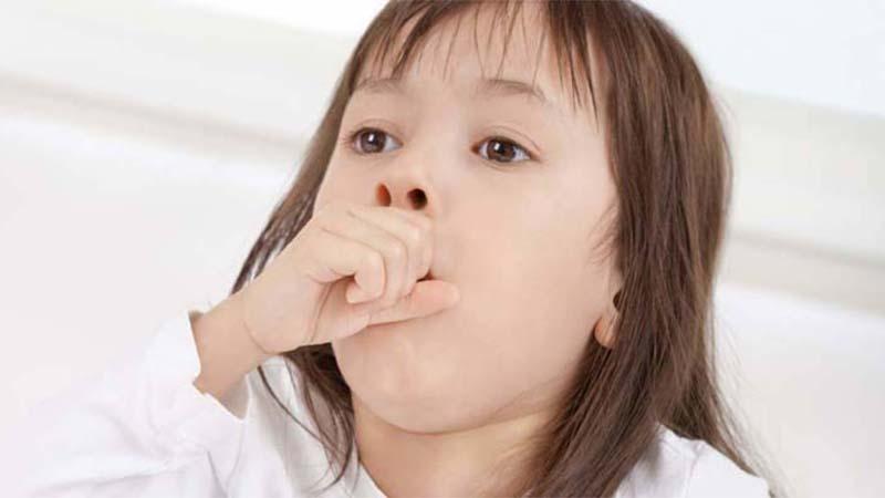 Những công thức sinh tố sữa tươi thập cẩm giúp bé tăng cường sức đề kháng suốt mùa hè