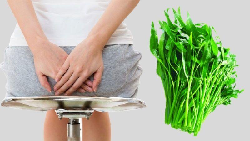 Nếu bạn bị bệnh trĩ, đừng quên bổ sung rau muống vào thực đơn hàng ngày để giúp cải thiện tình trạng sức khỏe.