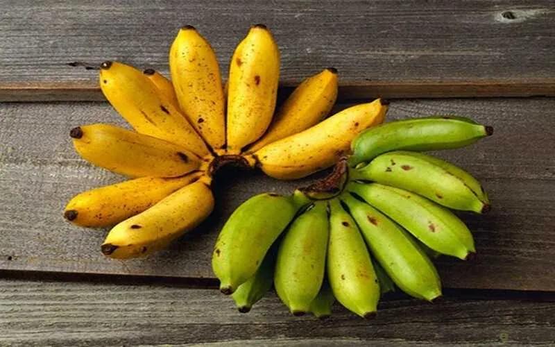 Chuối xanh hay chuối chín: Loại nào thực sự bổ dưỡng hơn? Kết quả có thể khiến bạn phải suy ngẫm.