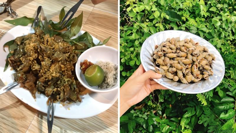 Khám phá những món ngon từ ốc cà na, dễ làm ngay tại nhà