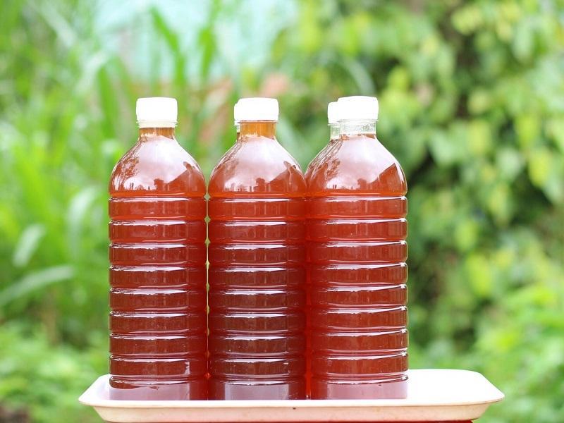 Mật ong từ hoa cà phê, hoa vải và hoa nhãn: Những sự khác biệt thú vị