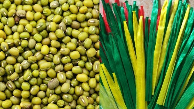 Khám phá cách trồng giá đỗ bằng túi lưới vừa đơn giản lại hiệu quả bất ngờ