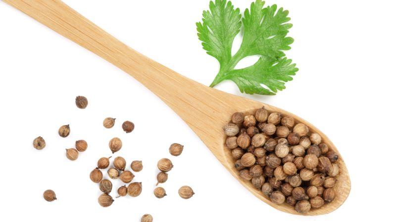 Giá tiêu tại Bình Phước ngày 14/03/2024 giảm 500 đồng/kg, hiện dao động trong khoảng 92.500 - 95.500 đồng/kg.