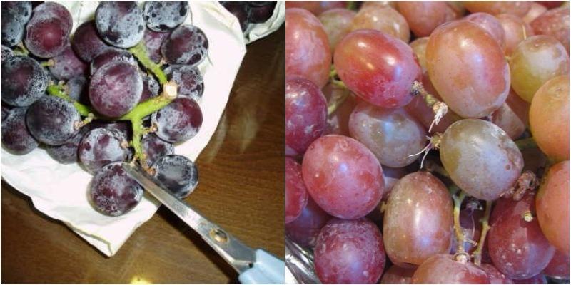 Mẹo làm sạch nho đến từng chi tiết, giúp nho tươi ngon và đẹp mắt hơn.