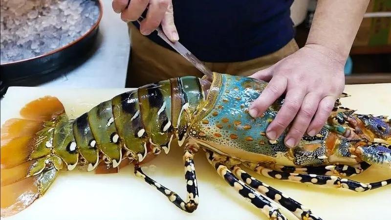 Tôm hùm: Khám phá cách nhận diện và chế biến các món ăn ngon tuyệt vời từ tôm hùm