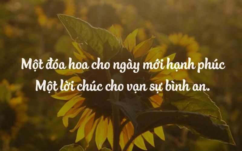 Hơn 50 lời chúc bình an, may mắn và vạn sự như ý dành tặng mọi người thân yêu.