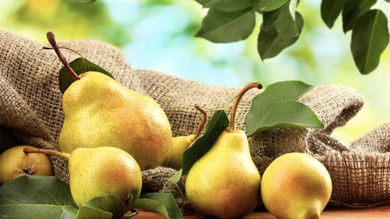 6 loại trái cây tuyệt vời giúp làm sạch phổi, giống như một chiếc máy hút bụi tự nhiên mà bạn nên bổ sung vào chế độ ăn hàng ngày của mình.