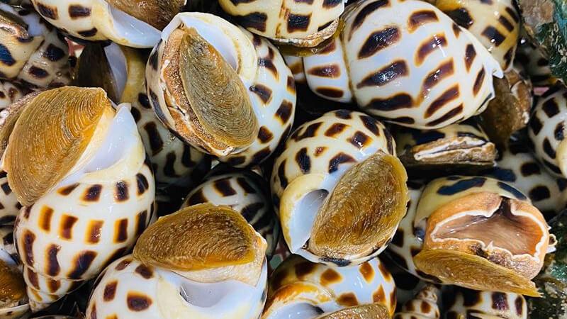 Công thức chế biến ốc hương xào bơ bắp thơm ngon, đậm đà khiến ai cũng phải mê mẩn.