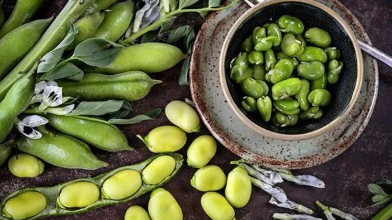 Đậu răng ngựa là gì và vì sao loại đậu này lại nổi bật với nhiều lợi ích cho sức khỏe?