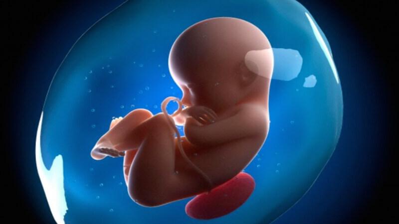 Nguyên nhân khiến thai nhi nấc cụt trong bụng mẹ là một câu hỏi thú vị mà không phải ai cũng biết. Hãy cùng khám phá câu trả lời trong bài viết sau đây.
