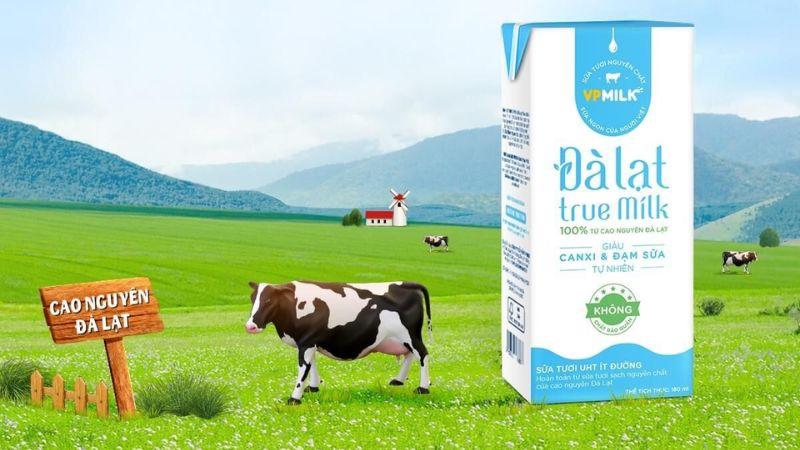 Sữa tươi Đà Lạt True Milk thuộc về công ty nào? Tìm hiểu về các sản phẩm sữa tươi nổi bật của Đà Lạt True Milk