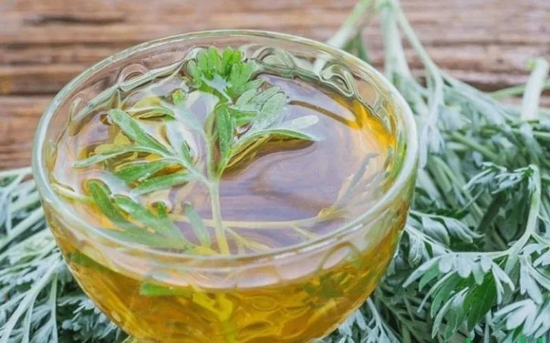 Chiết xuất ngải cứu (Mugwort extract) có tác dụng gì đối với việc chăm sóc sắc đẹp?