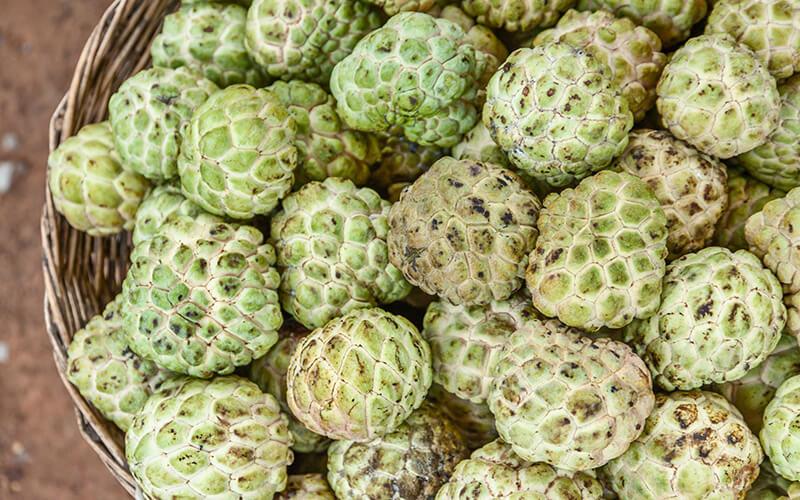 6 điều cần tránh khi ăn quả na (mãng cầu dai)