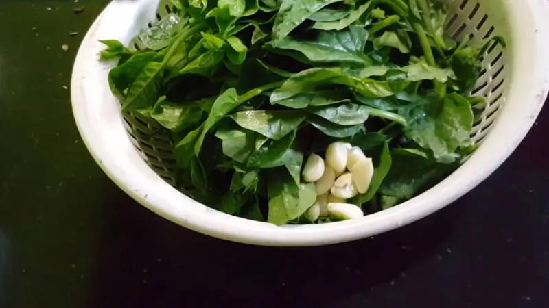 Cách làm món mồng tơi xào tỏi xanh giòn ngon