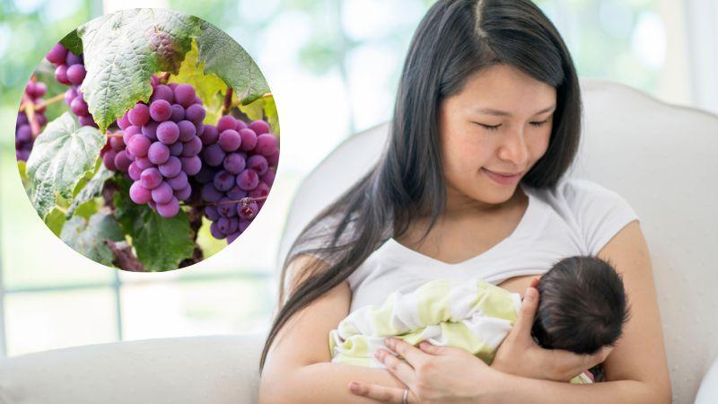 Mẹ sinh mổ có thể ăn nho không? Những lưu ý khi mẹ sau sinh ăn nho là gì?