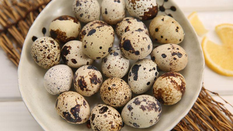 Bí quyết chọn trứng cút ngon, tươi lâu mà không bị hỏng