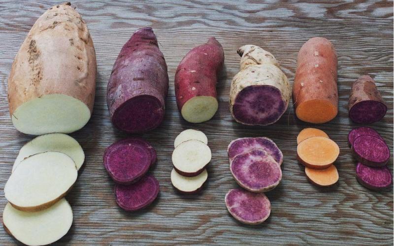 Cách làm khoai lang chiên bột mì giòn ngon mà không cần bột giòn, khoai lang bên trong vẫn giữ được độ mềm ngọt tự nhiên.