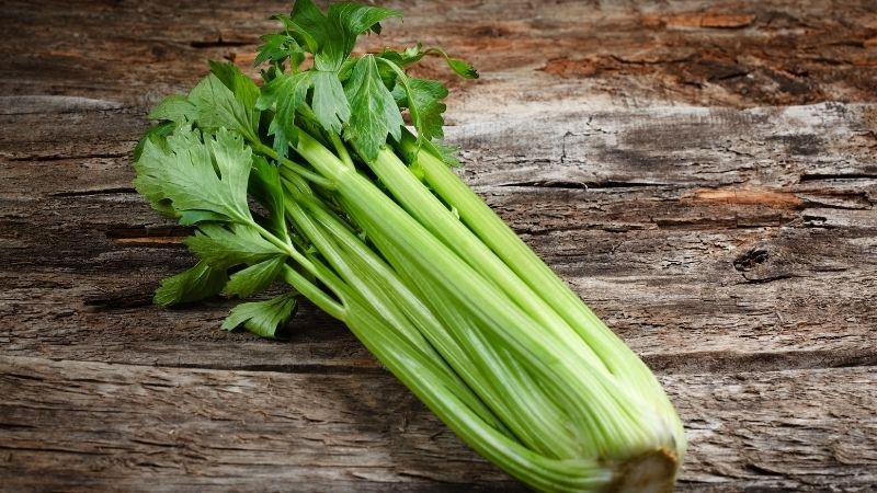 Lợi ích của rau cần tây và cách chế biến nước ép rau cần tây tại nhà