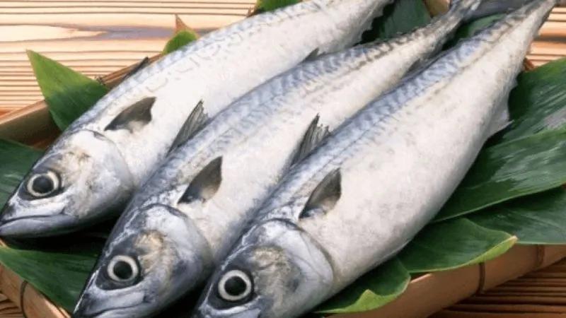 100g cá thu chứa bao nhiêu calo? Liệu ăn cá thu có làm bạn tăng cân hay không?