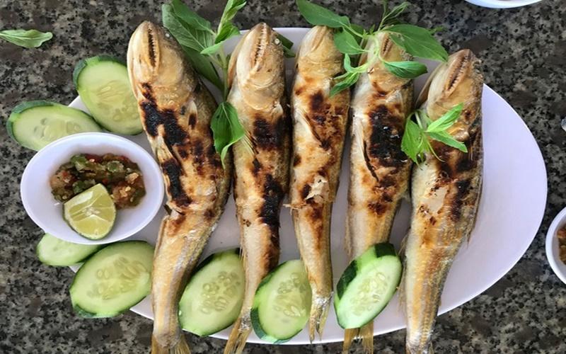 Cá thuẫn là loại cá gì? Những món ăn hấp dẫn nào có thể chế biến từ cá thuẫn?