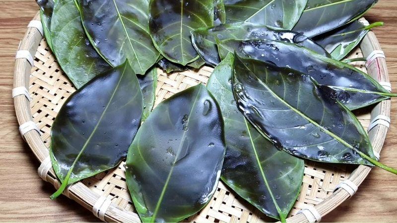 Bí quyết làm bánh thúi địch (bánh lá mơ) – món ngon dân dã đậm chất miền Tây