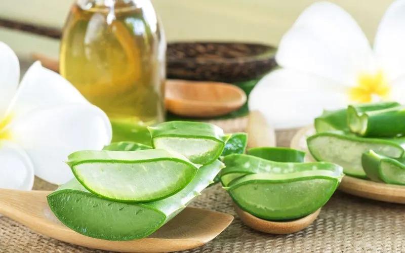 Công thức làm đá lạnh nha đam giúp trị nám và làm sạch mụn hiệu quả chỉ sau vài tuần