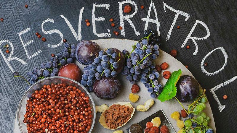 Resveratrol là gì? Khám phá những lợi ích tuyệt vời khi bổ sung Resveratrol cho cơ thể bạn