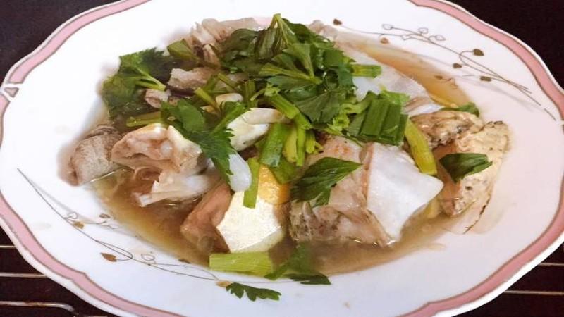 Khám phá 4 công thức cá bớp hấp tuyệt vời, hương vị đậm đà cho bữa cơm gia đình thêm phần hấp dẫn