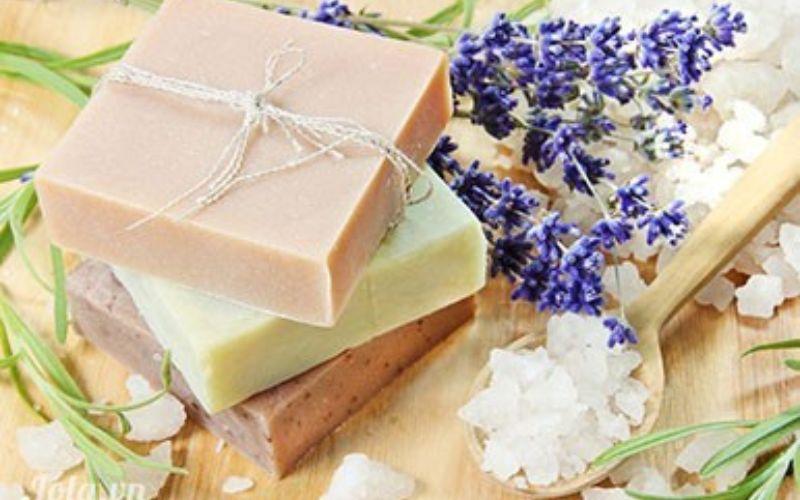 7 phương pháp thuốc trừ sâu tự nhiên cho cây, giúp bảo vệ vườn cây của bạn khỏi sâu bọ mà không lo ảnh hưởng đến sức khỏe.