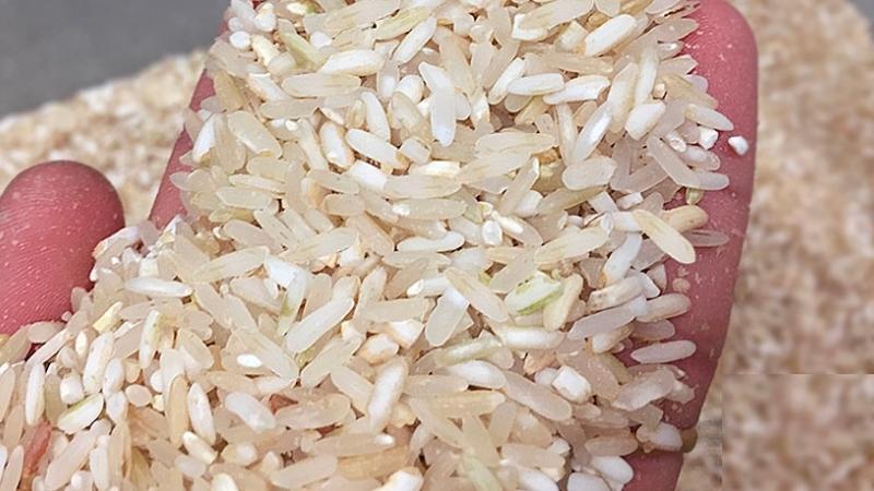 Gạo còn cám là gì và cách phân biệt giữa gạo còn cám và gạo nguyên cám