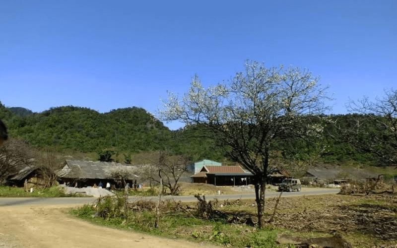 Khám phá những điểm hấp dẫn tại Văn Hồ (Sơn La) – đừng bỏ lỡ cơ hội trải nghiệm