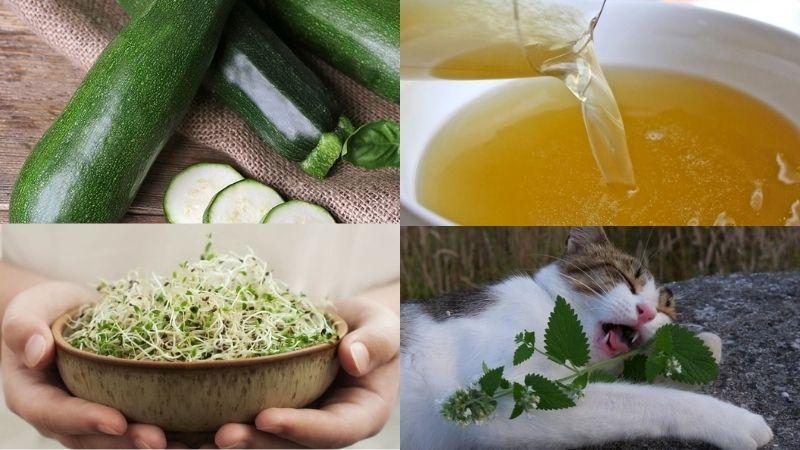 Khám phá 5 cách làm Pate thơm ngon, bổ dưỡng và tiết kiệm cho mèo ngay tại nhà