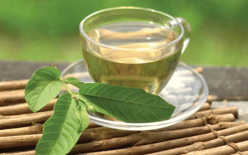 Khám phá lợi ích tuyệt vời từ lá ổi và cách pha trà lá ổi để tận dụng tối đa các dưỡng chất quý báu.