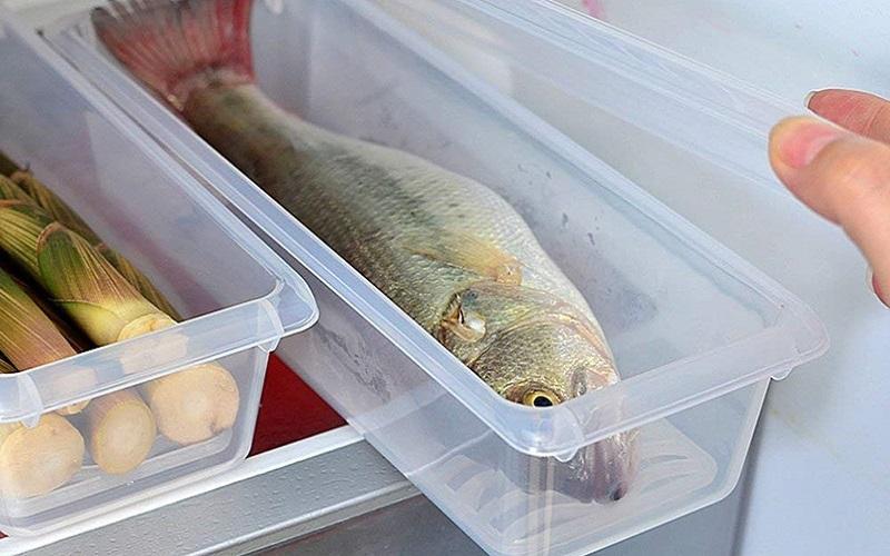 Cá tươi hay cá đã qua chế biến có thể bảo quản trong bao lâu mà vẫn đảm bảo chất lượng? Cùng tìm hiểu những cách bảo quản hiệu quả để giữ cho cá luôn tươi ngon và bổ dưỡng.