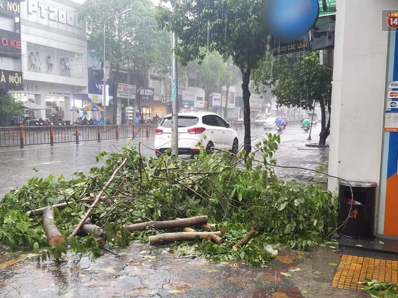 Những điều cần lưu ý khi bạn phải ra ngoài trong trời mưa bão hay giông lốc.