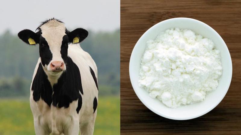 Sữa bột hữu cơ khác biệt như thế nào so với sữa bột thông thường?