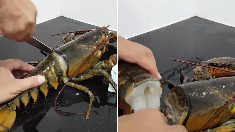 Khám phá bí quyết sơ chế tôm hùm chuẩn xác từ các đầu bếp chuyên nghiệp