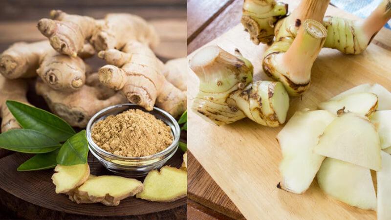 Cách phân biệt giữa củ riềng và củ gừng dễ dàng và chính xác