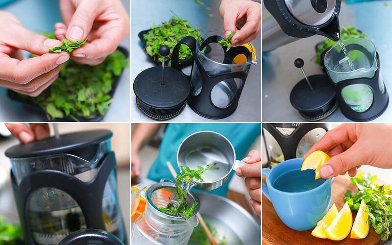 Thử thêm vài lá bạc hà tươi vào mỗi buổi sáng và xem sức khỏe của bạn thay đổi ra sao. Hãy để những hiệu quả bất ngờ tự lên tiếng!