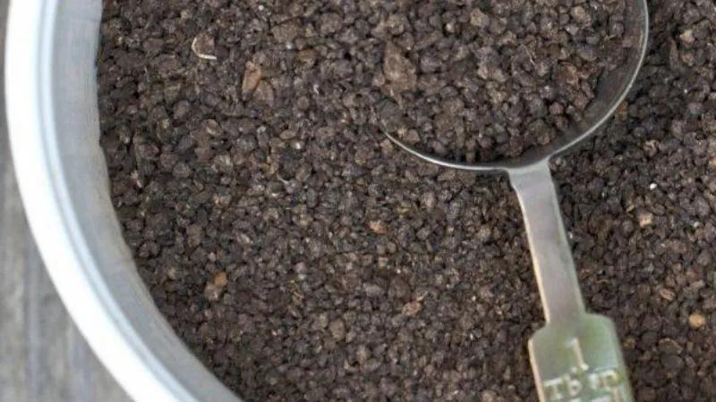 Khám phá cách trồng rau cải cúc trong thùng xốp để thu hoạch nhanh chóng và hiệu quả.