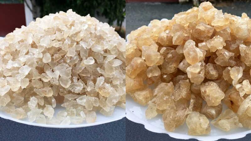 Hướng dẫn cách chọn mua mủ trôm sạch và an toàn cho sức khỏe