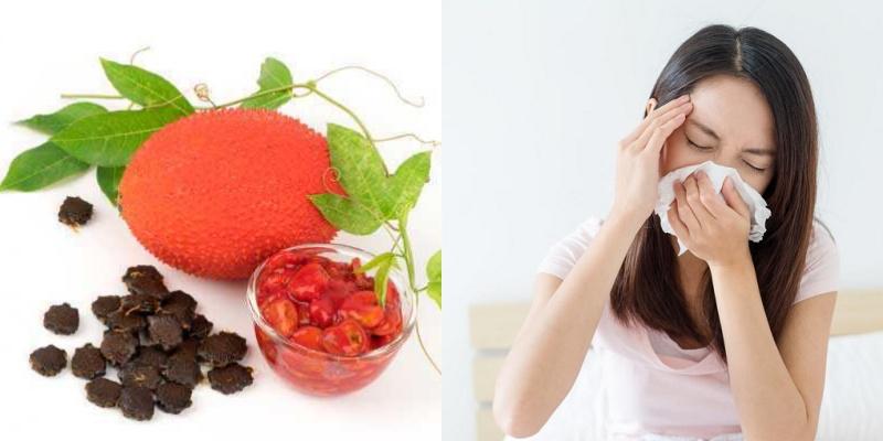 Hạt gấc, tưởng chừng như không có giá trị, lại ẩn chứa vô vàn công dụng tuyệt vời cho sức khỏe mà bạn chưa biết.
