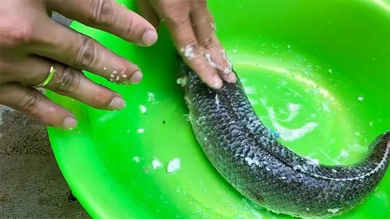 Cá sẽ sạch sẽ, không còn nhớt và mùi tanh nhờ những nguyên liệu đơn giản dễ tìm ngay trong bếp.