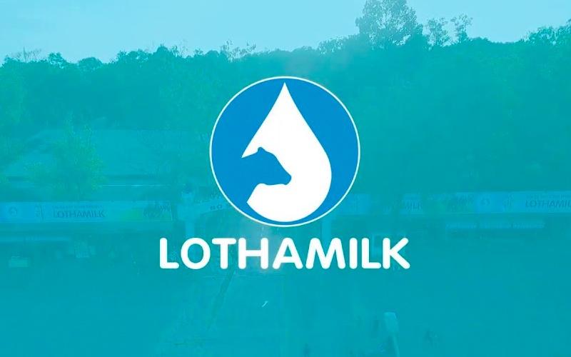 Lothamilk cung cấp những dòng sản phẩm nào? Trẻ em từ bao nhiêu tuổi có thể sử dụng?